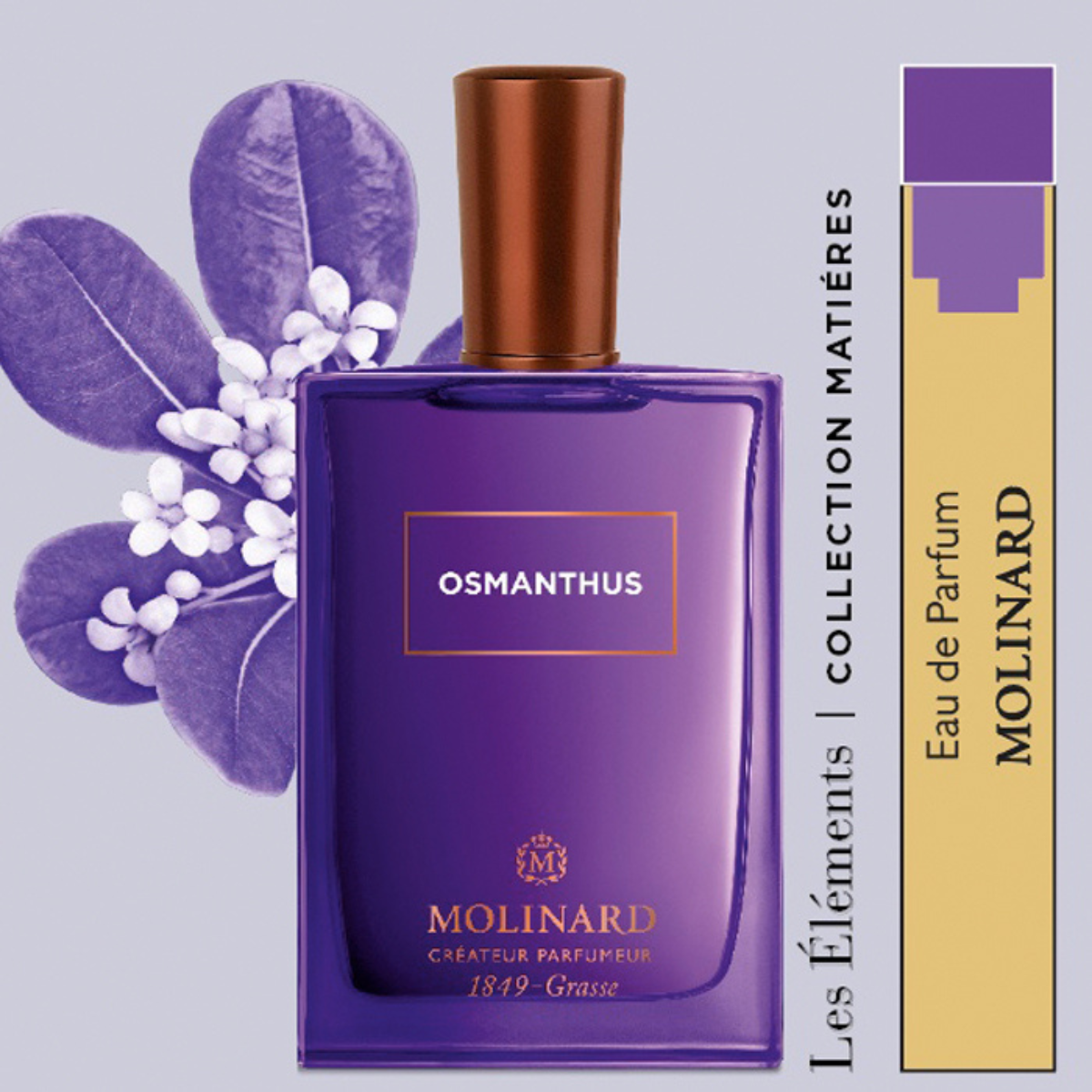 Échantillon Osmanthus